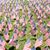 Kathy Blakley Upchurch's profile image
