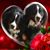 Doris G Stroz's profile image