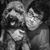 John Gomes's profile image