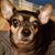 Pam Briggs's profile image
