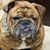 Barry Whitworth's profile image