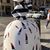 Denise Anderson Stoltz's profile image