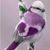 Claudette Schnoblen's profile image