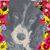 Theresa Burns Gray's profile image