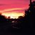 Shellie Spens Bustos's profile image