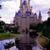 Debbie Tessoff's profile image