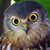 Johnny Reeves's profile image