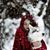 Lori Petrosky's profile image