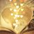 Evangelina Garcia's profile image