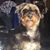Ingrid Atilano's profile image