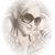 Jennifer Abruzzini's profile image