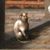 John Stearns's profile image