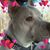 Melba Hillman's profile image