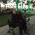 Terri S. Steinhauer's profile image