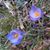 Linda Patrum's profile image