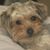 Nicole Rabena's profile image