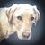 Marty Letourneau's profile image