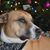 Heather Welch Fortenbury's profile image