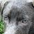 Donna Purkar-De Kenipp's profile image