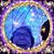 Kim Clifford's profile image