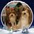 Connie Adkins Raby's profile image