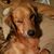 Kristie Haskins Rose's profile image