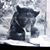 Bea Beardsley's profile image