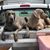 Trina McCardle Smith's profile image