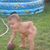 Scott Burnett's profile image