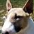 Mary Sheldon's profile image