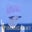 Riona MacNamara's profile image