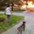 Alberto Javier De Jesus's profile image
