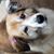 Dawn Lund's profile image