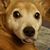 Lisa Kipke's profile image