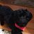 Johnna Salter Hazley's profile image