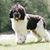Susan Connell Connor's profile image