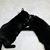 Heather Dvorsky's profile image