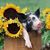 Erica W. Smith's profile image