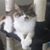 Robin Glick's profile image