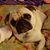 Lori Rowland Hall's profile image