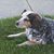 Barbara McLoud Zatkoff's profile image