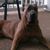 Todd Staccio's profile image