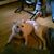 Gary Banks's profile image