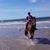 Carmi Drorziv's profile image