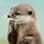 Christopher Ott's profile image