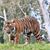 Terri Nummer's profile image