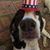 Kathie Taylor Mudge's profile image