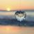 Theresa Scribner's profile image