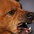 Casey Smith's profile image