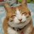 Tom Zuehlke's profile image